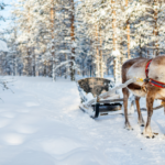 5 Holiday Marketing Mistakes
