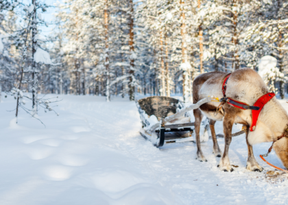 5 Holiday Marketing Mistakes
